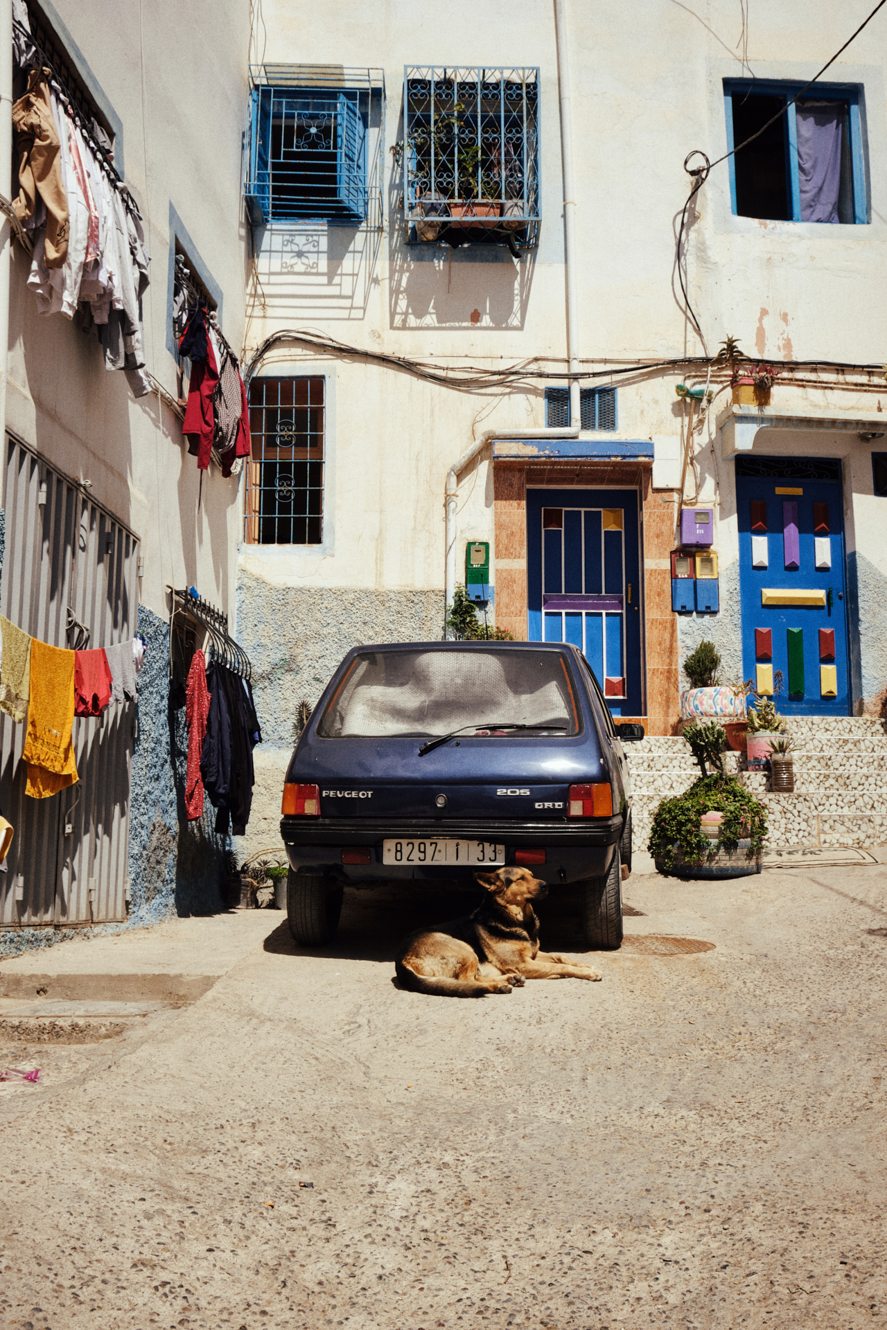 MARIE MOJÉ PHOTOGRAPHY