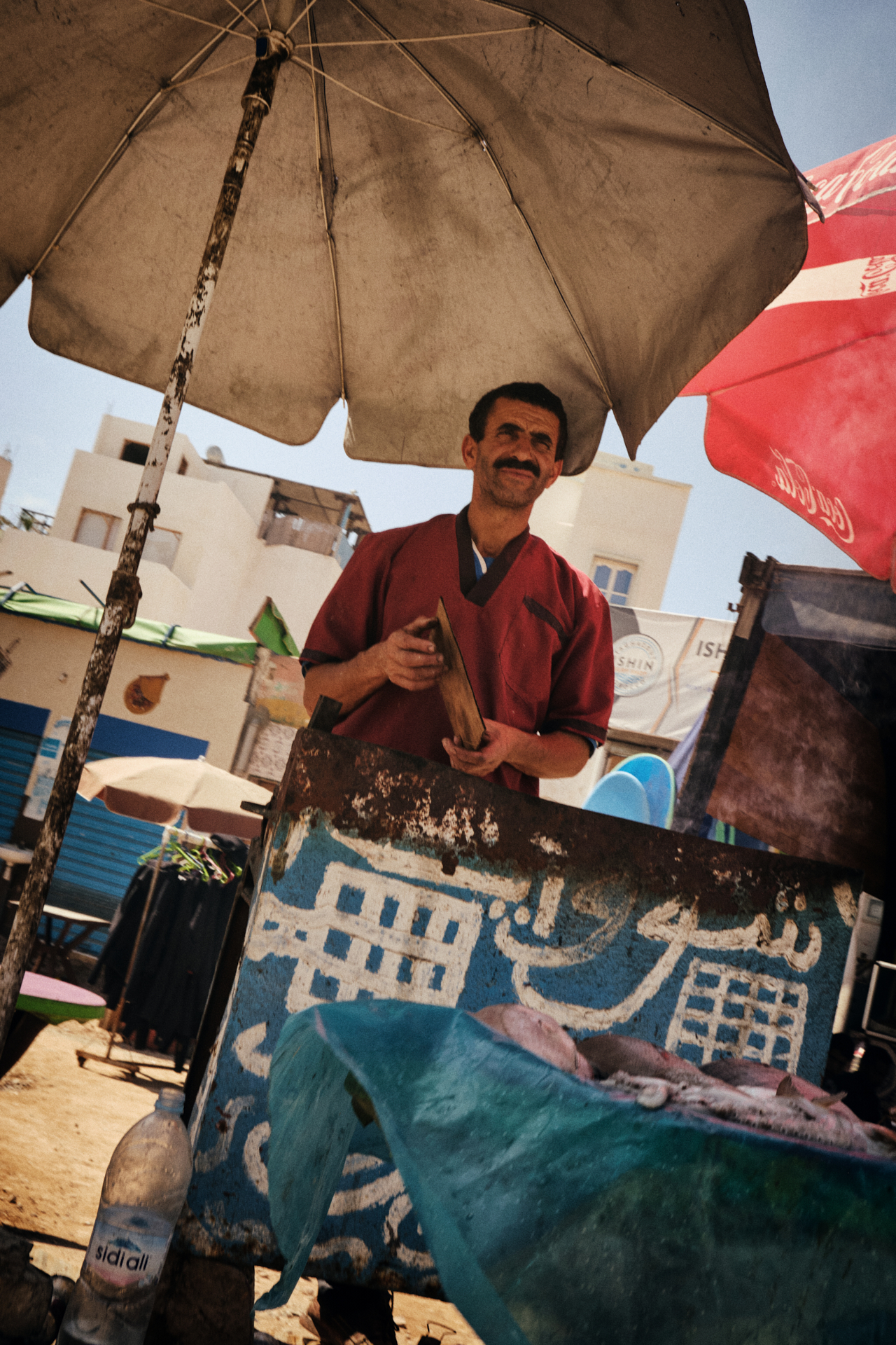 MARIE MOJÉ PHOTOGRAPHY