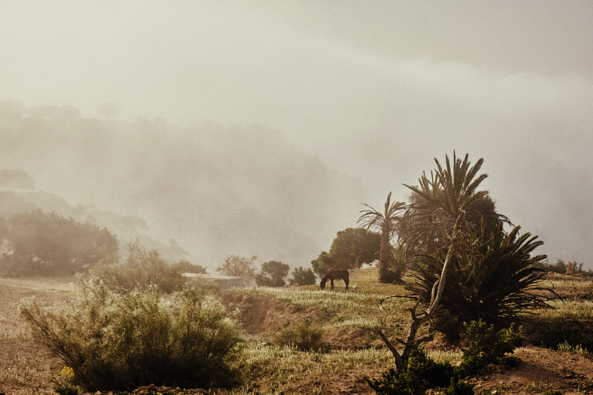 MARIE MOJÉ PHOTOGRAPHY