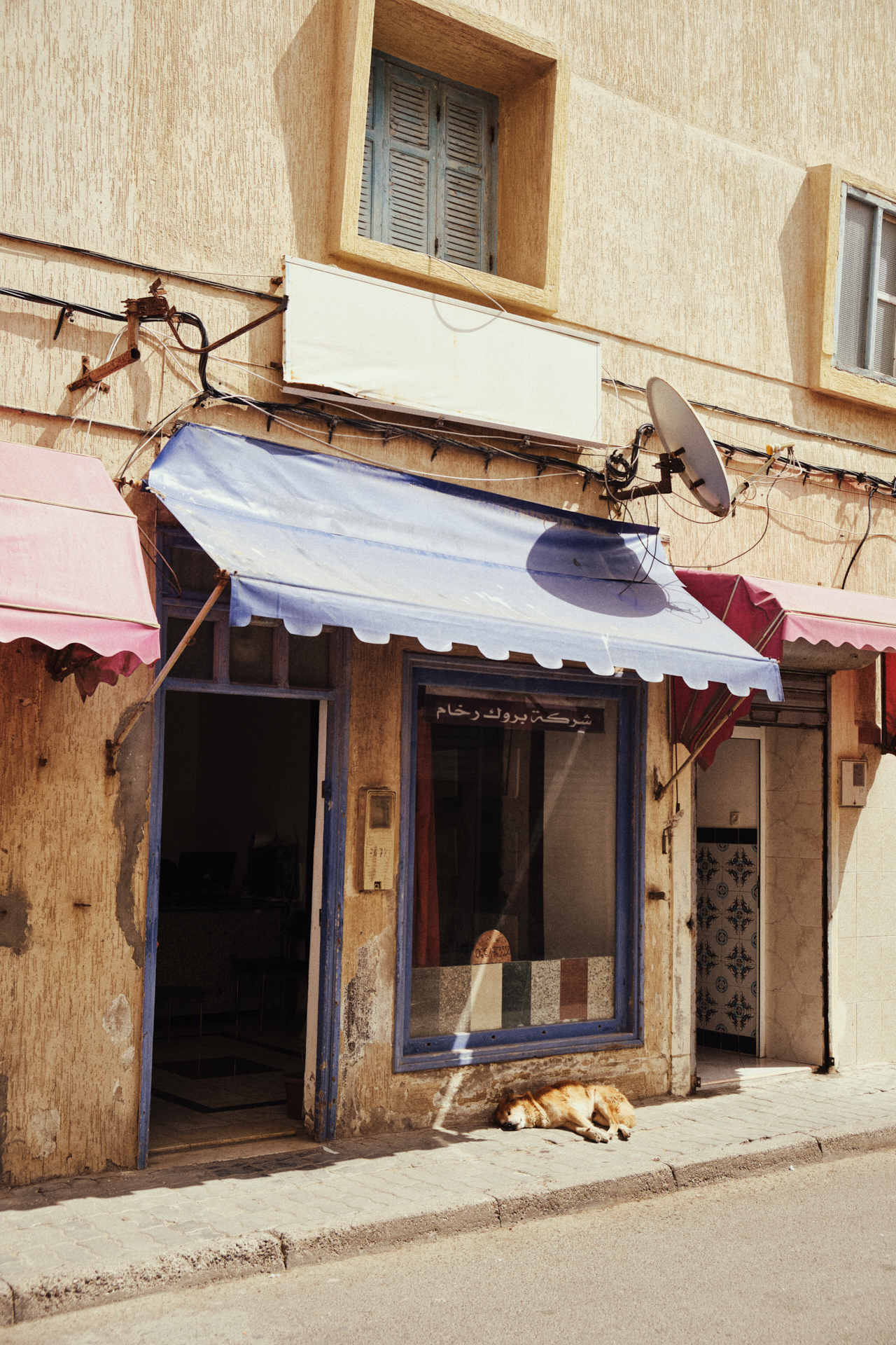 MARIE MOJÉ PHOTOGRAPHY