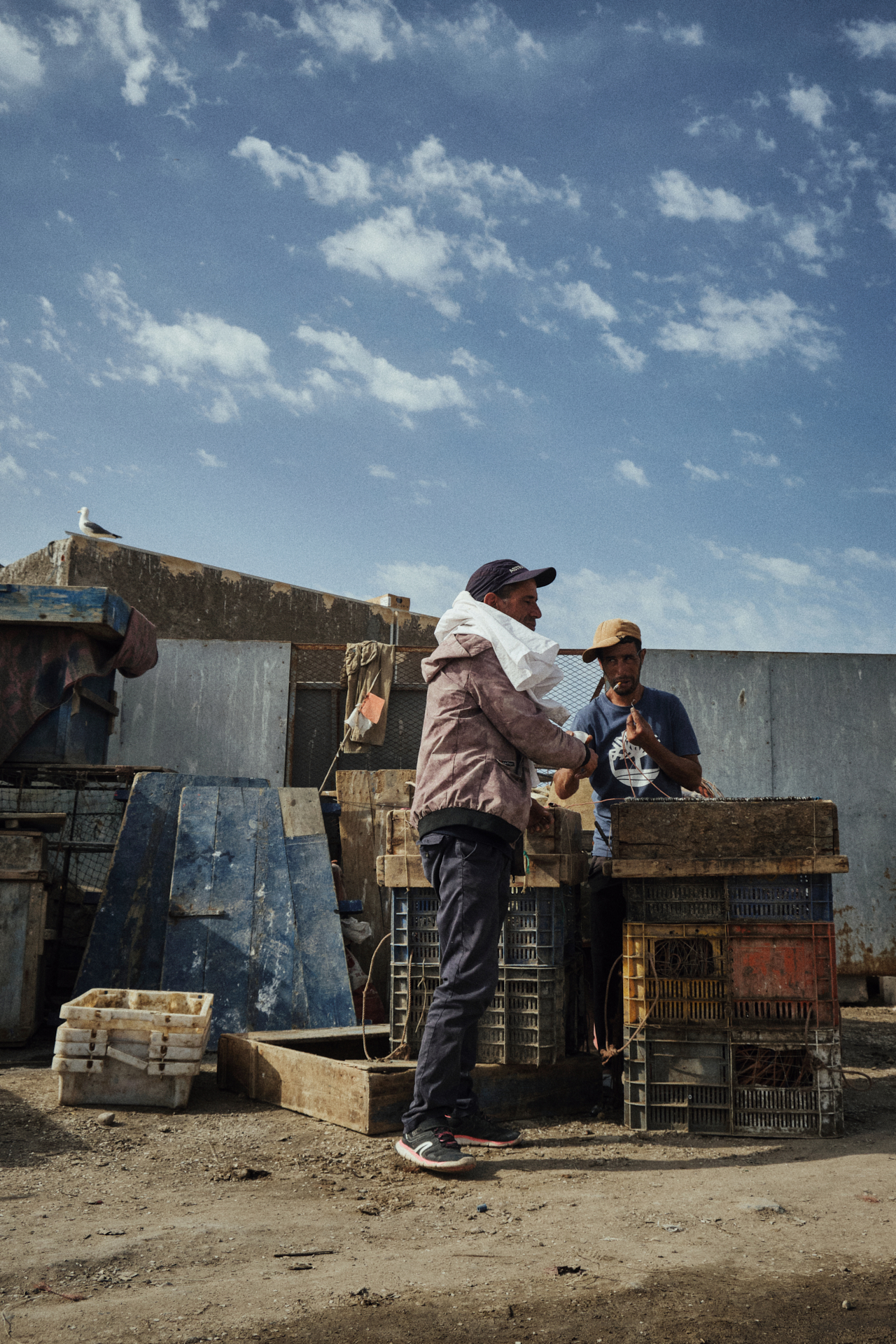 MARIE MOJÉ PHOTOGRAPHY