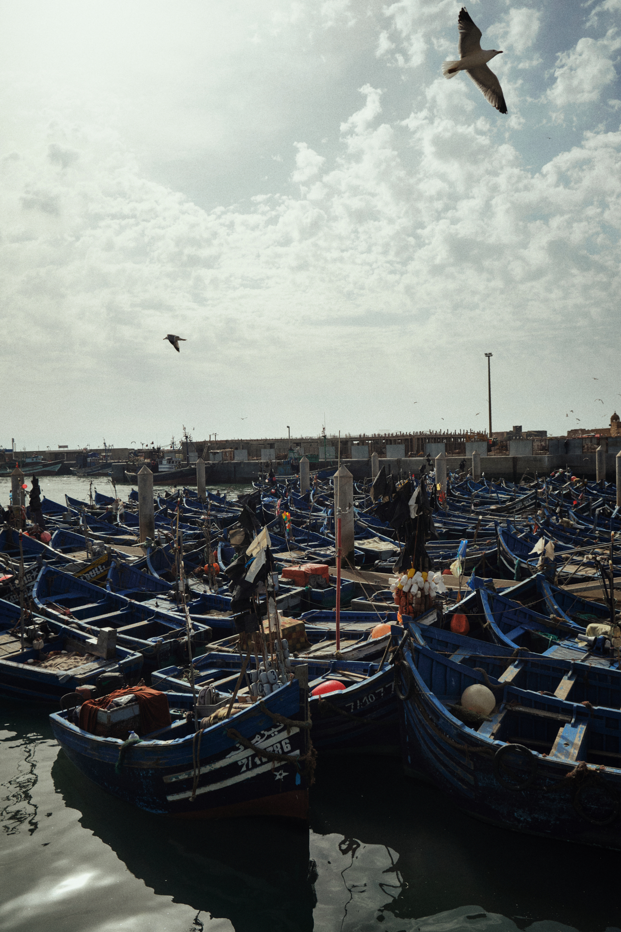 MARIE MOJÉ PHOTOGRAPHY