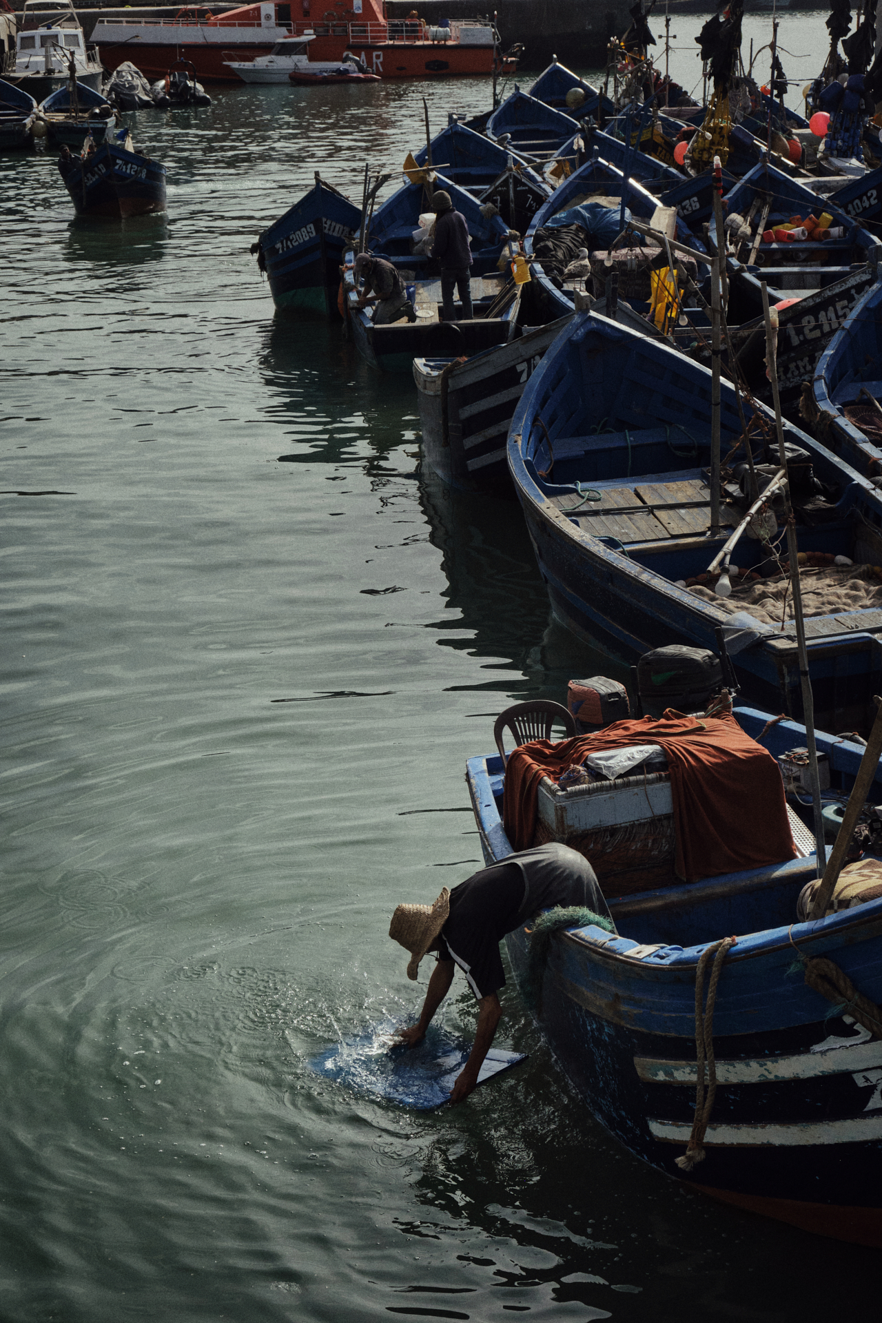 MARIE MOJÉ PHOTOGRAPHY