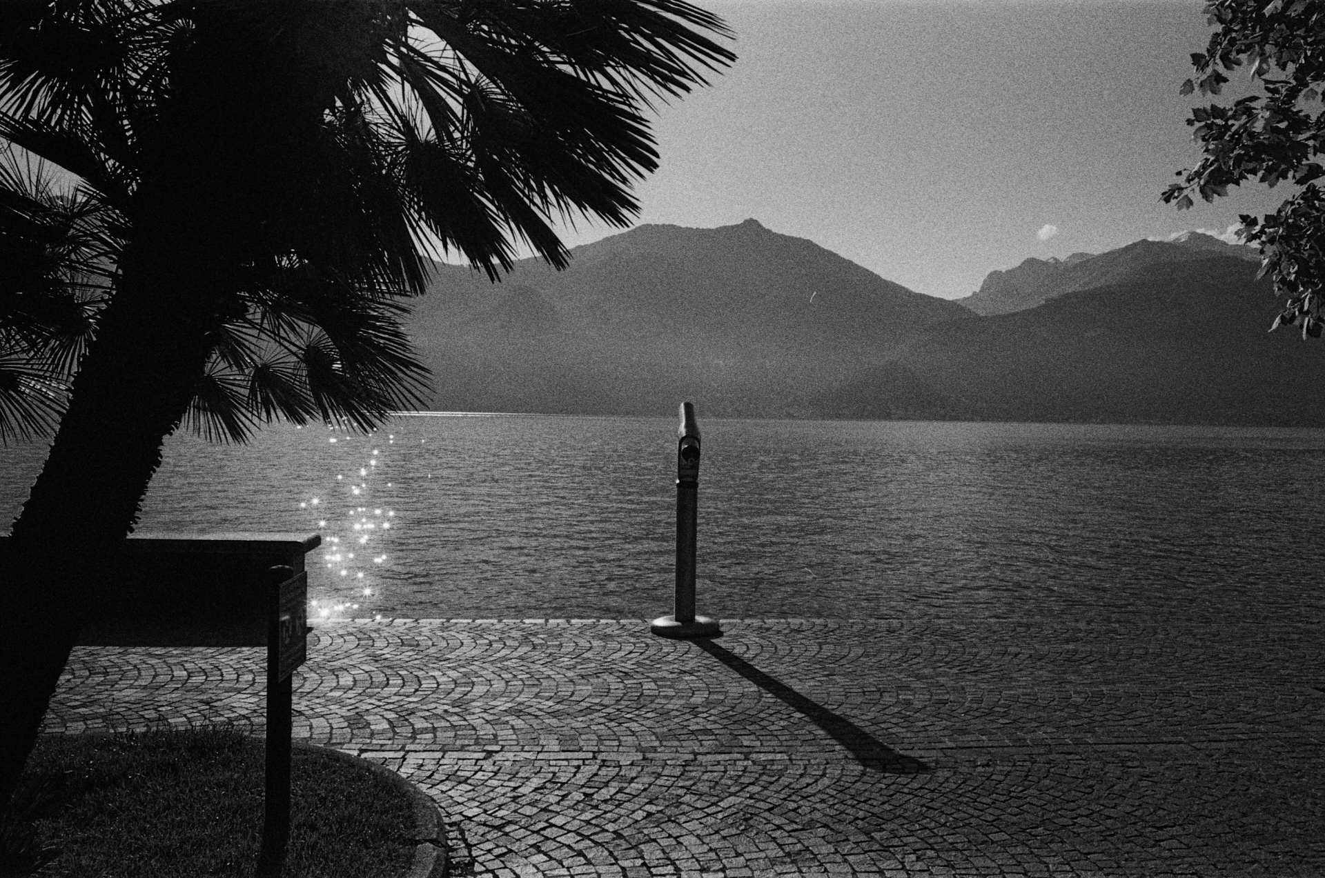 MARIE MOJÉ PHOTOGRAPHY