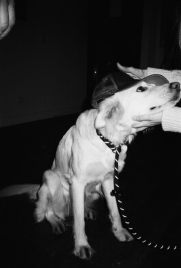 MARIE MOJÉ PHOTOGRAPHY