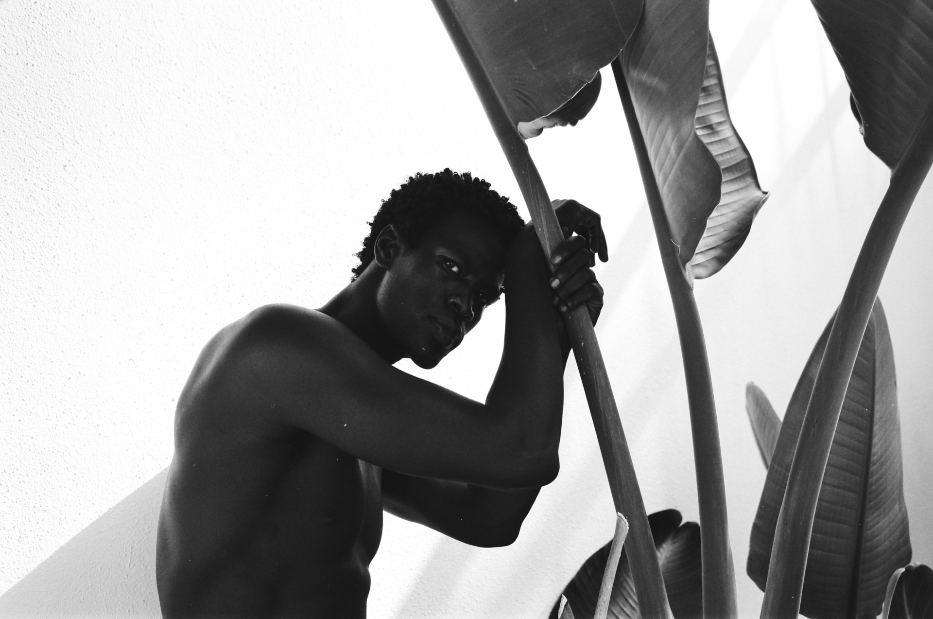 MARIE MOJÉ PHOTOGRAPHY