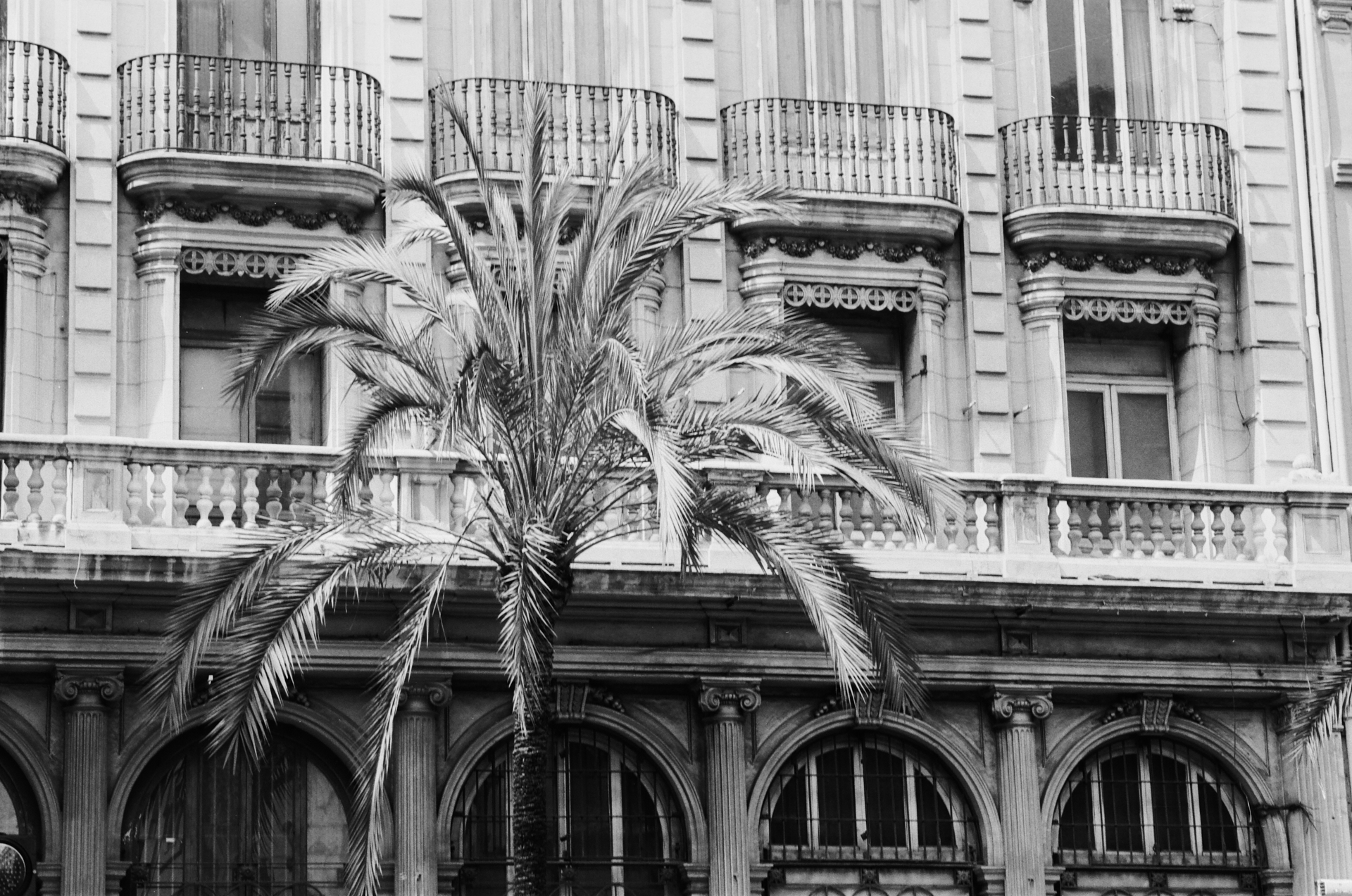 MARIE MOJÉ PHOTOGRAPHY