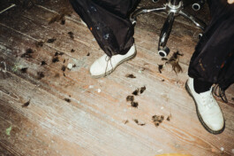 MARIE MOJÉ PHOTOGRAPHY