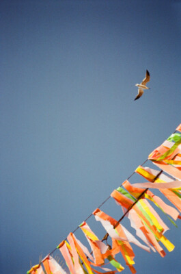 MARIE MOJÉ PHOTOGRAPHY