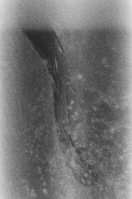 MARIE MOJÉ PHOTOGRAPHY