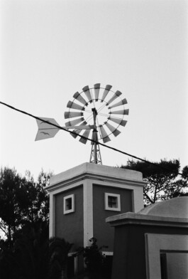 MARIE MOJÉ PHOTOGRAPHY