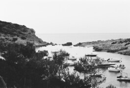 MARIE MOJÉ PHOTOGRAPHY