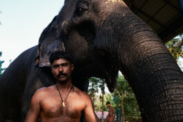 MARIE MOJÉ PHOTOGRAPHY