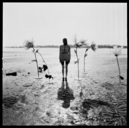 MARIE MOJÉ PHOTOGRAPHY