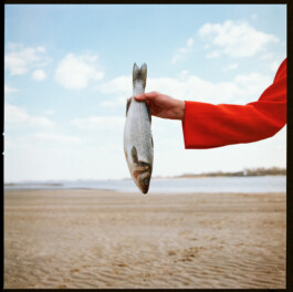 MARIE MOJÉ PHOTOGRAPHY